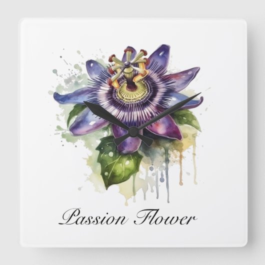 Passionierte Lila Passion-Blume Quadratische Wanduhr (Vorderseite)