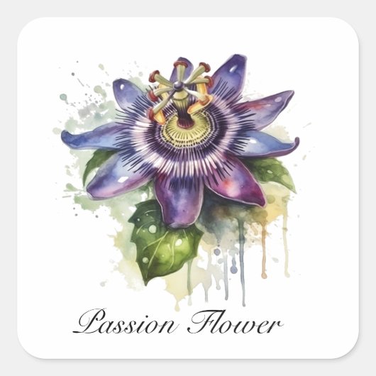 Passionierte Lila Passion-Blume Quadratischer Aufkleber (Vorderseite)