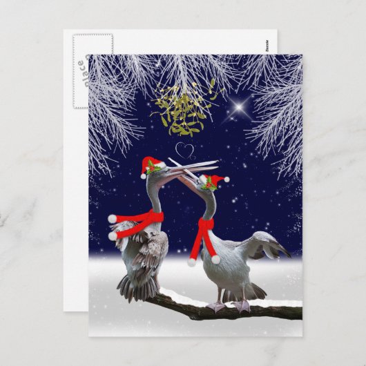 Passionierte Pelikaner Weihnachten Postkarte (Vorne/Hinten)