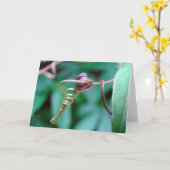 Passionsblume Karte (Gelbe Blume)