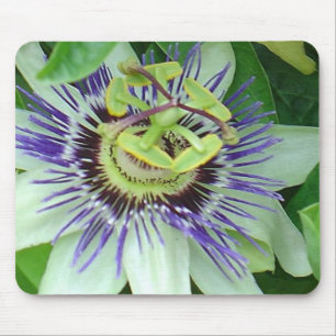 Passionsblume Mousepad