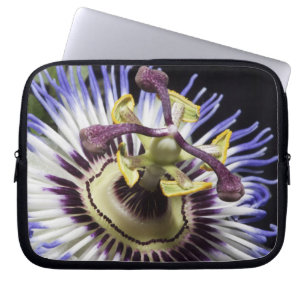 Passionsblume Nahaufnahme (MR) Laptopschutzhülle
