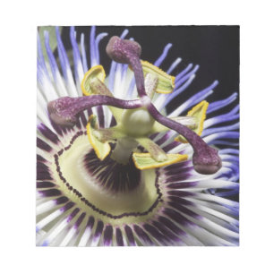 Passionsblume Nahaufnahme (MR) Notizblock