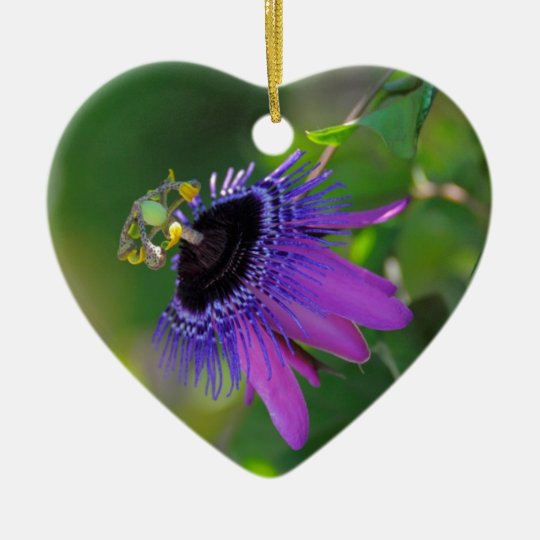 Passionsblume (Passiflora) Keramik Herz-Ornament