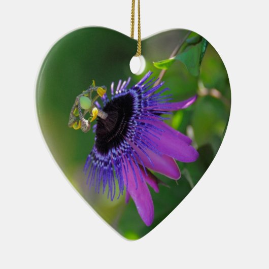 Passionsblume (Passiflora) Keramikornament (Rechts)