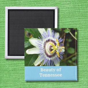 Passionsblume Tennessee Staatsblume Magnet