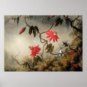 Passionsblumen mit Kolibris Poster (Vorne)