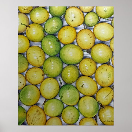 Passionsfrucht Poster (Vorne)