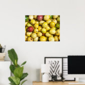 Passionsfrucht Poster (Heimbüro)