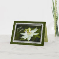 Passionskarte Blume Geburtstag