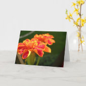 Passionskarte Karte (Gelbe Blume)