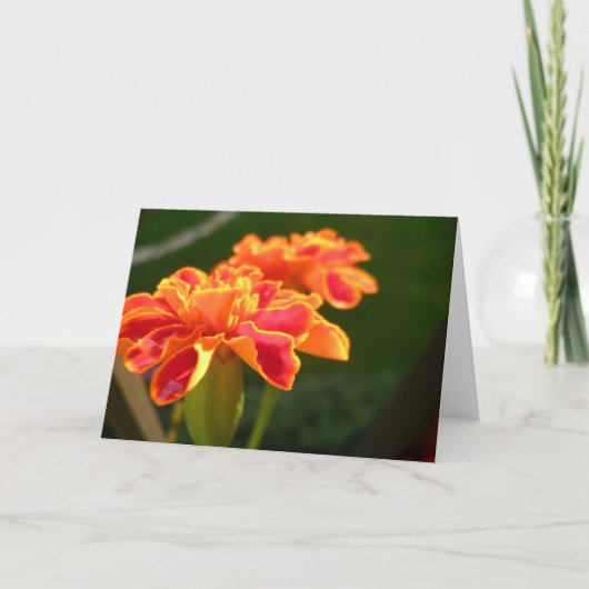 Passionskarte Karte (Vorderseite)