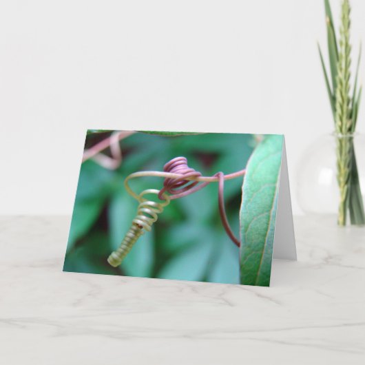 Passionsweine Karte (Vorderseite)