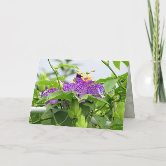 Passionvine Grußkarte Karte (Vorderseite)