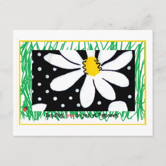 Passover Daisy Postcard Postkarte (Vorderseite)