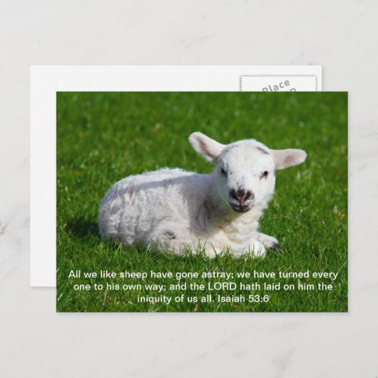 Passover Lamb, Isaiah 53 Postkarte (Vorne/Hinten)
