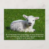 Passover Lamb, Isaiah 53 Postkarte (Vorderseite)