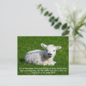 Passover Lamb, Isaiah 53 Postkarte (Stehend Vorderseite)