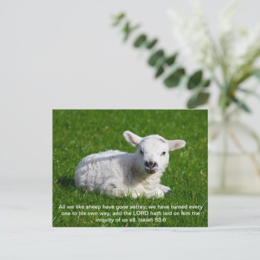 Passover Lamb, Isaiah 53 Postkarte (Stehend Vorderseite)