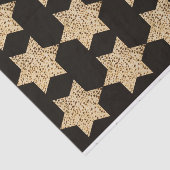 Passover Matzah Broad Star von David Seidenpapier (Ausschnitt)