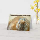 Passover Rabbit doesn't Pass Over Karte (Gelbe Blume)