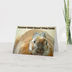 Passover Rabbit doesn't Pass Over Karte