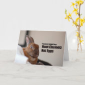 Passover Rabbit Says: Karte (Gelbe Blume)