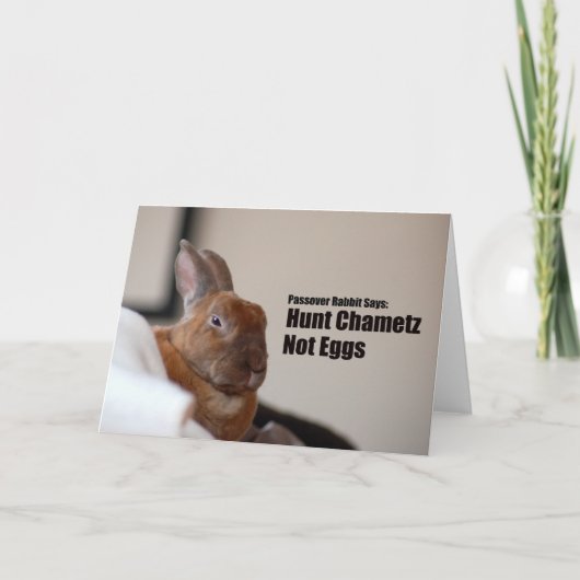 Passover Rabbit Says: Karte (Vorderseite)