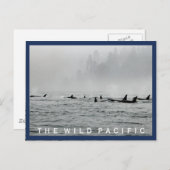 Passwale Postkarte (Vorne/Hinten)