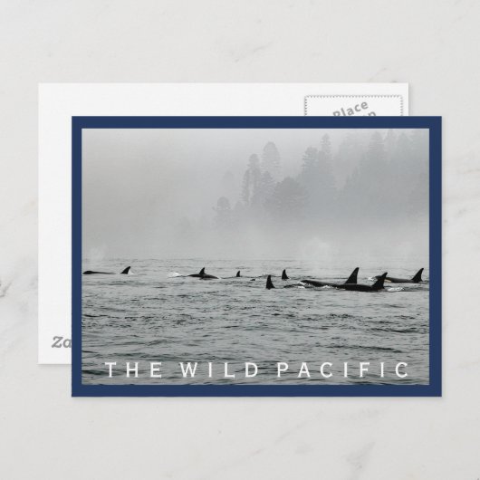 Passwale Postkarte (Vorne/Hinten)