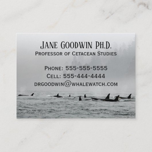 Passwale Visitenkarte (Rückseite)