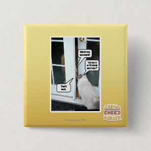 Passwort bitte button