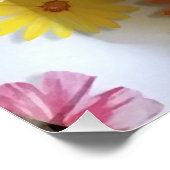 PASTA AUF DEM WEG POSTER (Ecke)