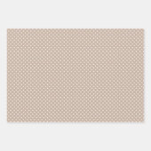 Pastel Aquamarin Blue Coffee Brown Streifen Punkt Geschenkpapier Set (Vorderseite 2)