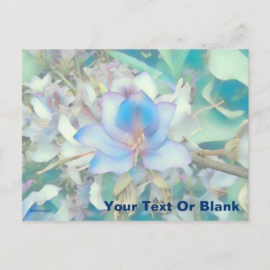 Pastel Blue Blossom Postkarte (Vorderseite)