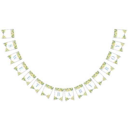 Pastel Blue Lemons Sweet Boy Baby Dusche Wimpelkette (Alle)
