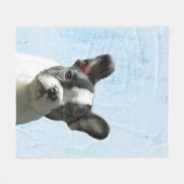 Pastel Blue Peekaboo Boston Terrier Puppy Kinderzi Fleecedecke (Vorderseite (Horizontal))