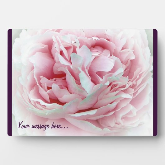 Pastel-Blume Fotoplatte (Vorderseite)
