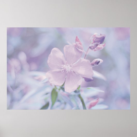 Pastel-Blume Poster (Vorne)