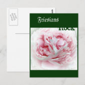 Pastel-Blume Postkarte (Vorne/Hinten)