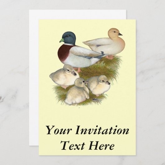 Pastel Call Duck Family Einladung (Vorne/Hinten)