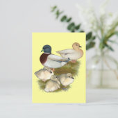 Pastel Call Duck Family Postkarte (Stehend Vorderseite)