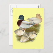 Pastel Call Duck Family Postkarte (Vorne/Hinten)