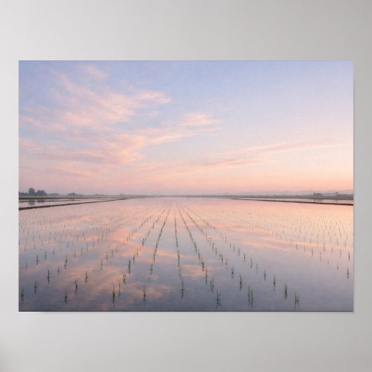 Pastel Dawn Rice Fields Poster - Serene Water (Vorne)