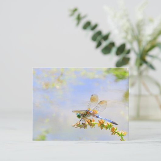 Pastel Dragonfly Postcard Postkarte (Stehend Vorderseite)