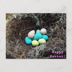 Pastel Easter eggs in real bird’s nest fotogragrap Feiertagspostkarte