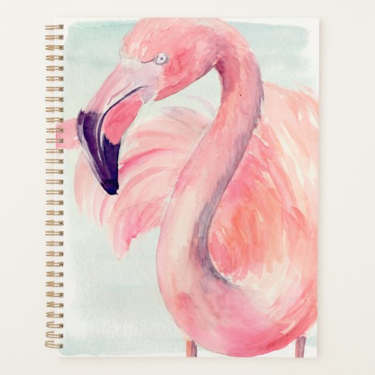 Pastel Flamingo Planer (Vorderseite)