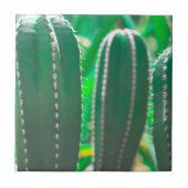 Pastel Green cactus Pflanze Blätter Fliese (Vorderseite)