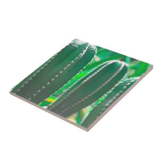 Pastel Green cactus Pflanze Blätter Fliese (Seite)