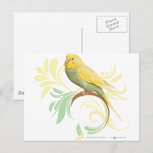 Pastel Green Parakeet Postkarte (Vorne/Hinten)